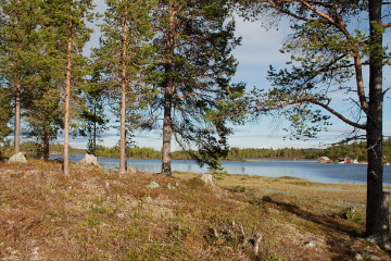 050