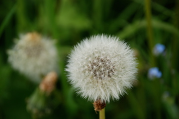 099